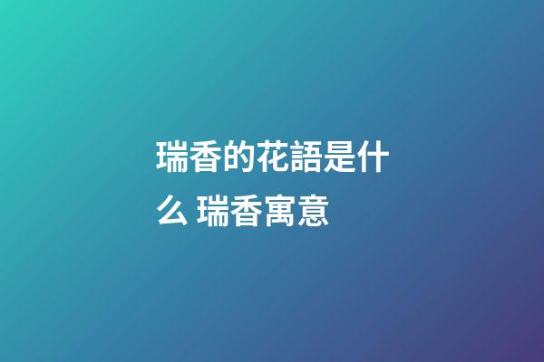 瑞香的花語是什么 瑞香寓意